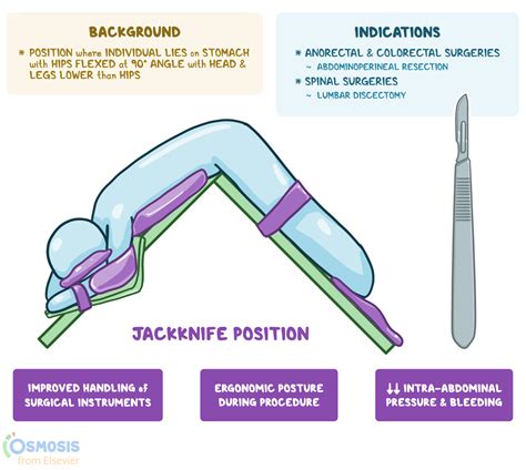 prone anal Search